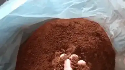 Pó de coco para substrato